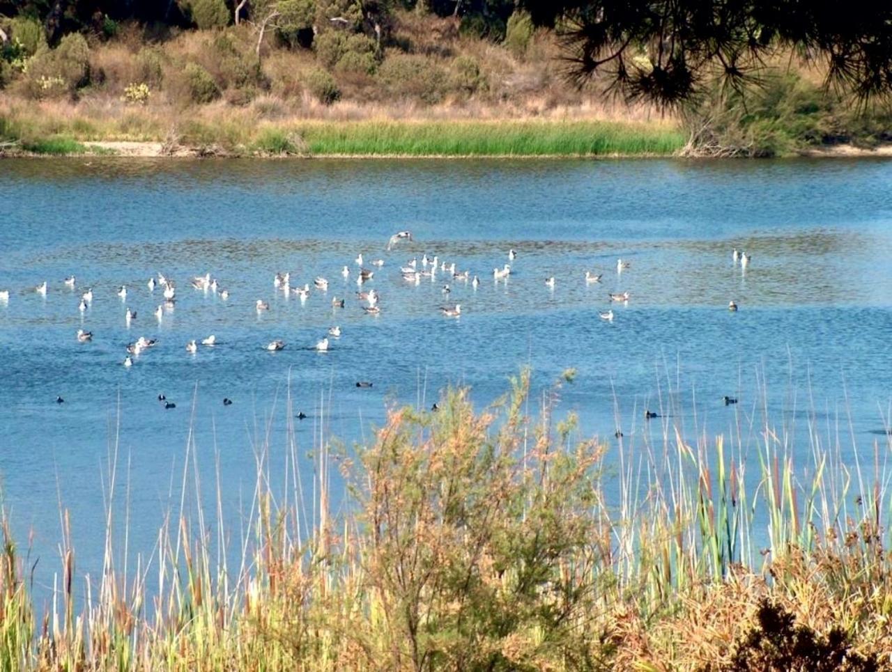Paqo Lodge Laguna Del Portil, A 400 Metros De La Playa Exteriör bild